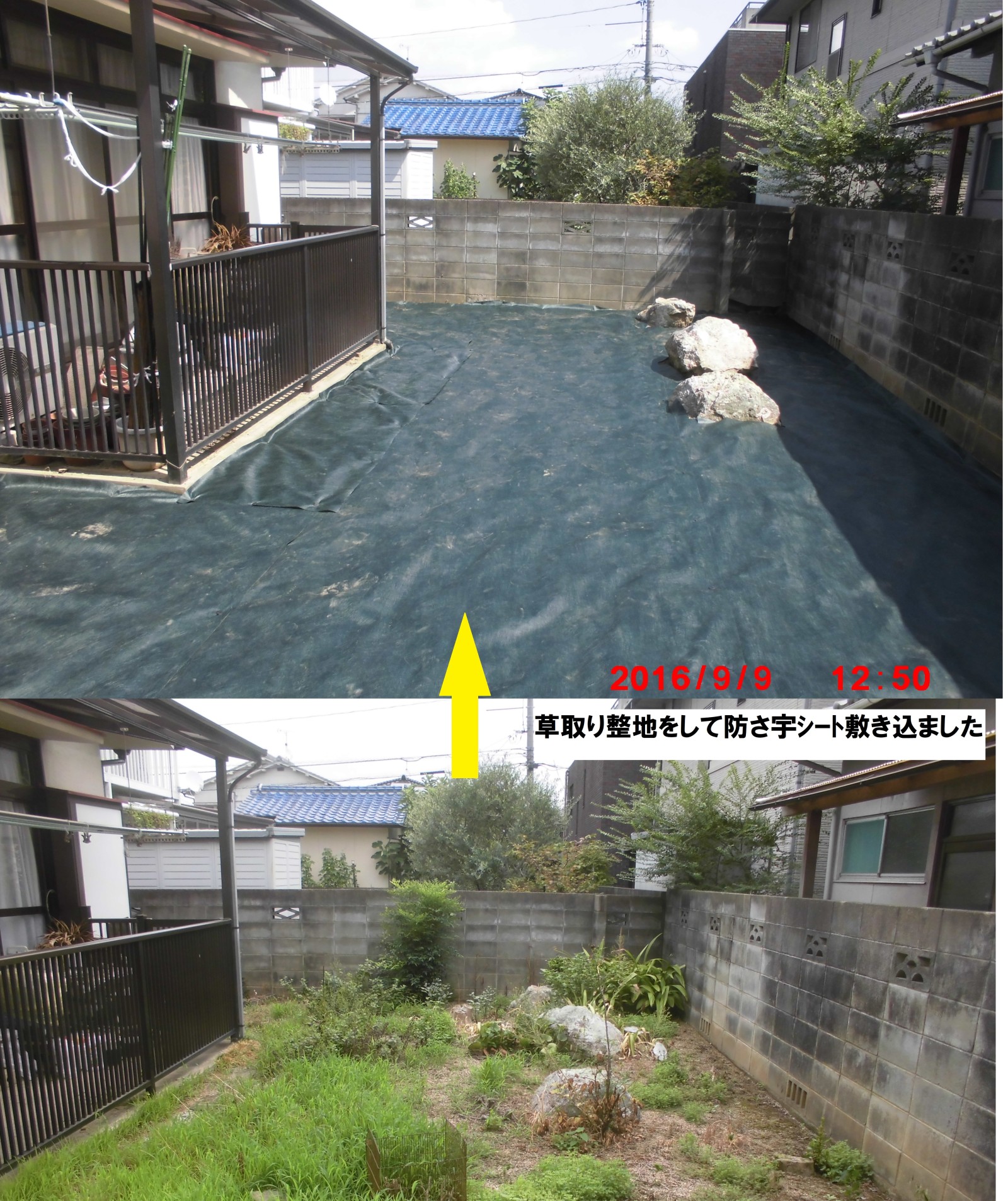 雑草の管理 防草シート